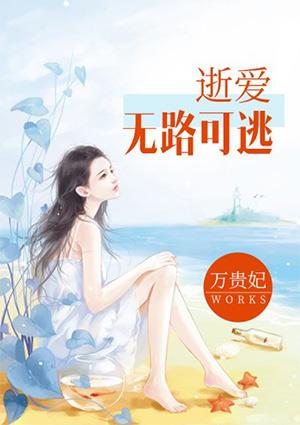 钢铁核心部分