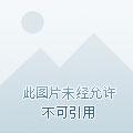 在末日游戏世界求存的我没有问题
