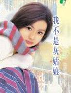 新驻京办主任对手全集