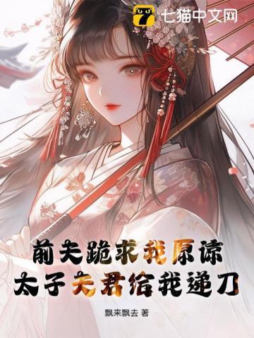 乱世红颜少帅的夫人是谁