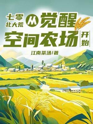 乱世红颜少帅的夫人